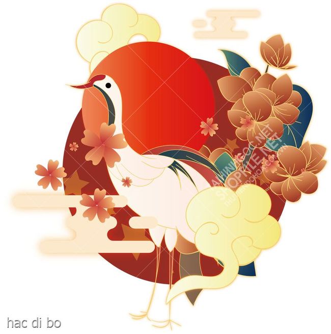 hac di bo